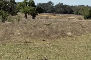 00 Dentler Rd, Meyersville, TX 77974 - Photo 13