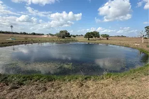 00 Dentler Rd, Meyersville, TX 77974 - Photo 19