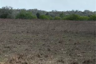 00 Dentler Rd, Meyersville, TX 77974 - Photo 21