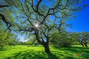 4772-2 County Road 340, Burnet, TX 76905 - Photo 7