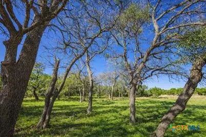 4772-2 County Road 340, Burnet, TX 76905 - Photo 11