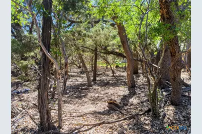 1530 Misty Lane, Spring Branch, TX 78070 - Photo 9