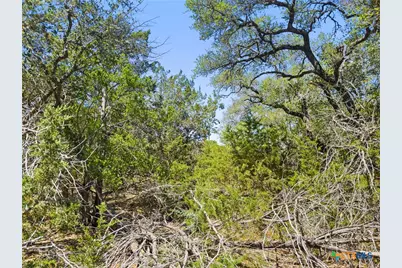 1530 Misty Lane, Spring Branch, TX 78070 - Photo 7