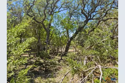 1530 Misty Lane, Spring Branch, TX 78070 - Photo 5