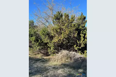 440 Canyon Edge, Canyon Lake, TX 78133 - Photo 3