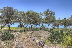 1000 Bamc Dr, Canyon Lake, TX 78133 - Photo 47