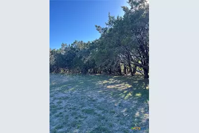 1309 and 1321 Lakeview Drive, Canyon Lake, TX 78133 - Photo 3