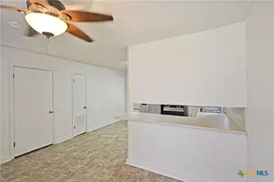 268 E Mill St, New Braunfels, TX 78130 - Photo 23