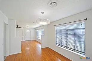 268 E Mill St, New Braunfels, TX 78130 - Photo 9