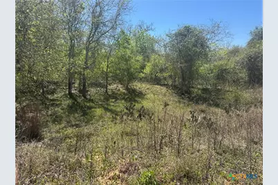 00 Dowdy Road, Kingsbury, TX 78638 - Photo 3