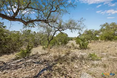 1078 Madrone Road, Fischer, TX 78623 - Photo 9