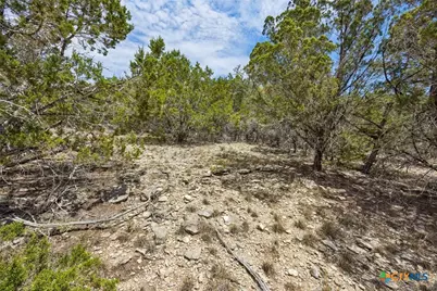 1082 Madrone Road, Fischer, TX 78623 - Photo 11