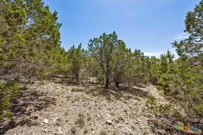 1082 Madrone Road, Fischer, TX 78623 - Photo 7