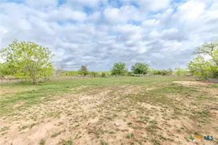 Tbd Fm 1681, Nixon, TX 78140 - Photo 3