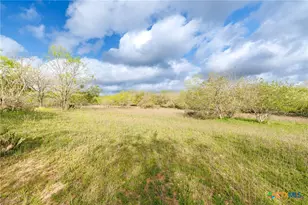 Tbd Fm 1681, Nixon, TX 78140 - Photo 9