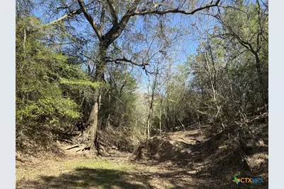 0 Anchor Ranch Loop, Flatonia, TX 78941 - Photo 11