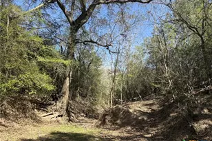 0 Anchor Ranch Loop, Flatonia, TX 78941 - Photo 11