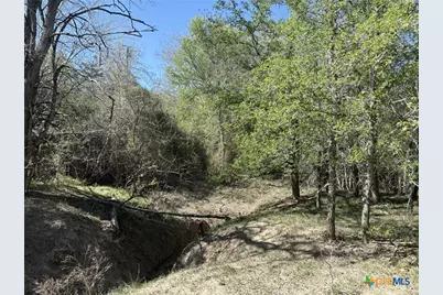 0 Anchor Ranch Loop, Flatonia, TX 78941 - Photo 17