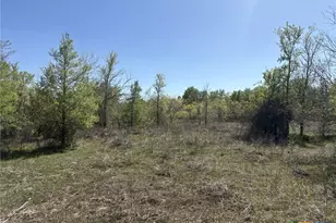 0 Anchor Ranch Loop, Flatonia, TX 78941 - Photo 9