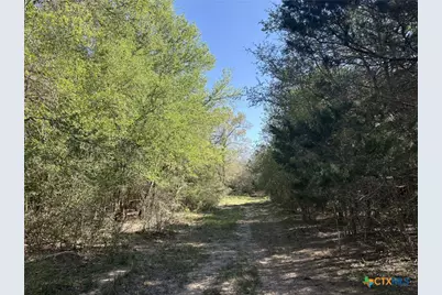 0 Anchor Ranch Loop, Flatonia, TX 78941 - Photo 5
