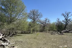 0 Anchor Ranch Loop, Flatonia, TX 78941 - Photo 15