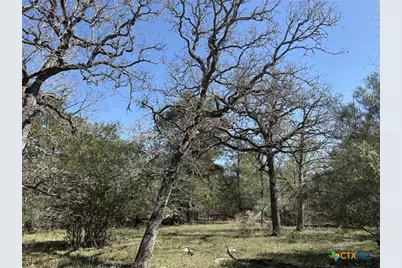 0 Anchor Ranch Loop, Flatonia, TX 78941 - Photo 13