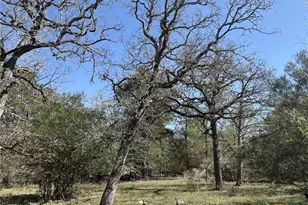 0 Anchor Ranch Loop, Flatonia, TX 78941 - Photo 13