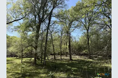 0 Anchor Ranch Loop, Flatonia, TX 78941 - Photo 3