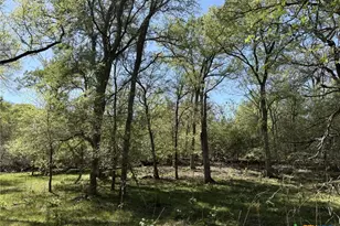 0 Anchor Ranch Loop, Flatonia, TX 78941 - Photo 3