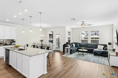 1124 Aronia Lane, Georgetown, TX 78626 - Photo 3