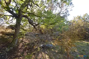 0 Fm 581, Lometa, TX 76853 - Photo 9