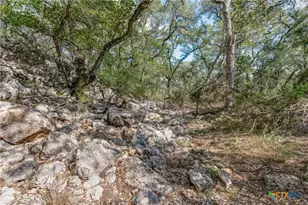 25867 Lewis Ranch Rd, New Braunfels, TX 78132 - Photo 37