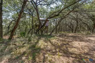 25867 Lewis Ranch Rd, New Braunfels, TX 78132 - Photo 29