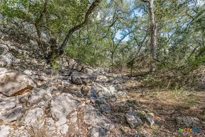 25867 Lewis Ranch Road, New Braunfels, TX 78132 - Photo 37