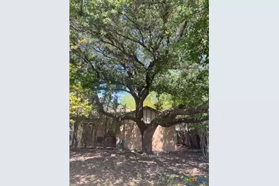 3407 Imperial Drive, Gatesville, TX 76528 - Photo 3