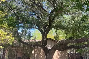 3407 Imperial Dr, Gatesville, TX 76528 - Photo 3