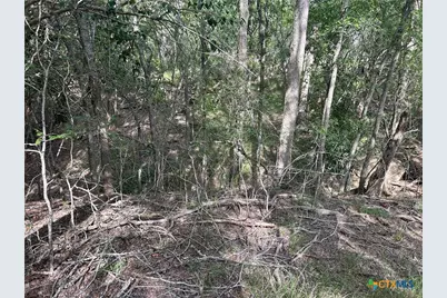 0 Sutherland Springs, Seguin, TX 78155 - Photo 13