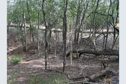 0 Sutherland Springs, Seguin, TX 78155 - Photo 19