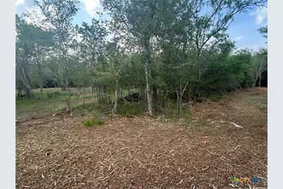 0 Sutherland Springs, Seguin, TX 78155 - Photo 7