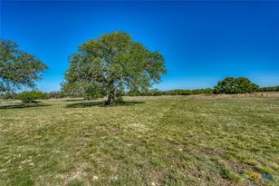 224 Blackbuck Rdg Dr, Lampasas, TX 76550 - Photo 37