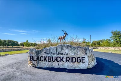 224 Blackbuck Ridge Drive, Lampasas, TX 76550 - Photo 45