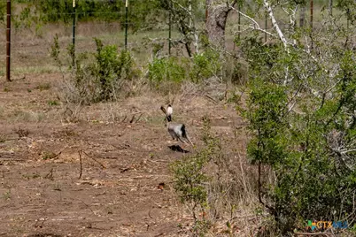 2632 Slickfield Road, Yorktown, TX 78164 - Photo 25