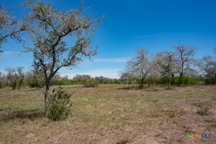2632 Slickfield Rd, Yorktown, TX 78164 - Photo 23