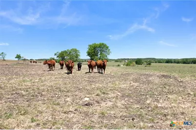 Tbd US Hwy 36, Jonesboro, TX 76538 - Photo 23