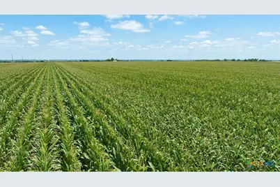 Tbd Manda Carlson Road, Coupland, TX 78615 - Photo 15