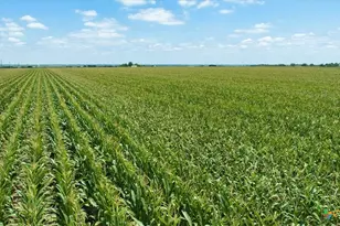 Tbd Manda Carlson Rd, Coupland, TX 78615 - Photo 15