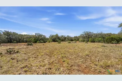 2124 Francisco Pass, Canyon Lake, TX 78133 - Photo 17