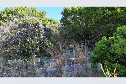 754 Park Road, Lampasas, TX 76550 - Photo 13