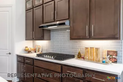 332 Puppy Dog Pass, San Marcos, TX 78666 - Photo 9