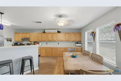 3956 Cherokee Boulevard, New Braunfels, TX 78132 - Photo 17